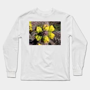 Sedona Study 11 Long Sleeve T-Shirt